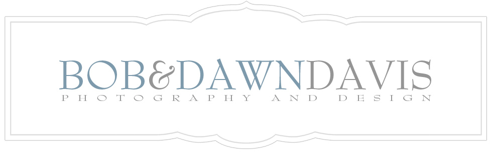 logo-bda logo-bda