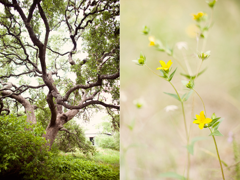 Luna Photography 113