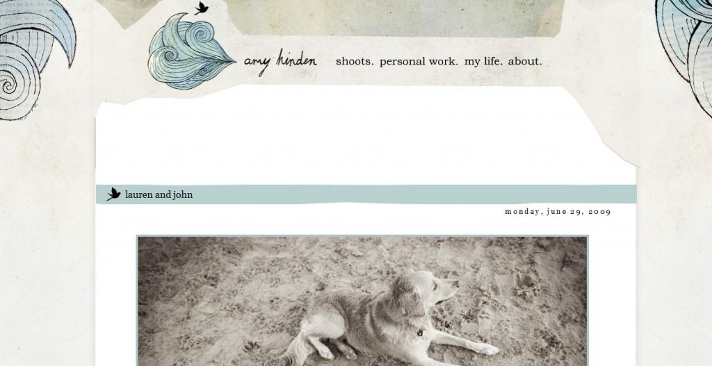 Amy Hinden blog