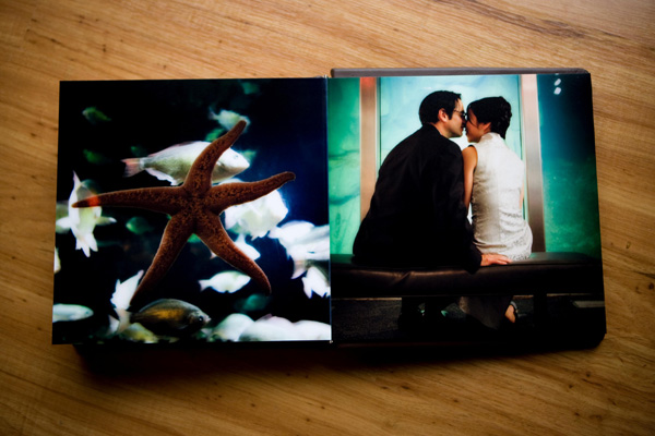 Aquarium Wedding Album FMN book 2