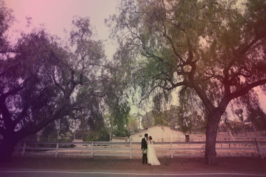 Farmhouse wedding, Rancho Santa Fe wedding, Sarah Yates photography eric and emily 10