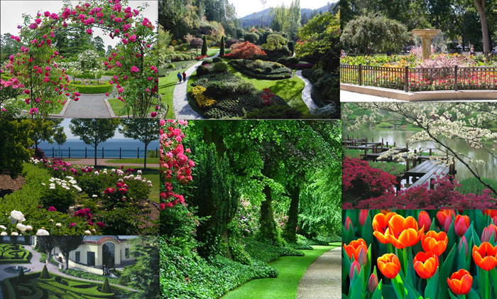Garden Inspiration garden1