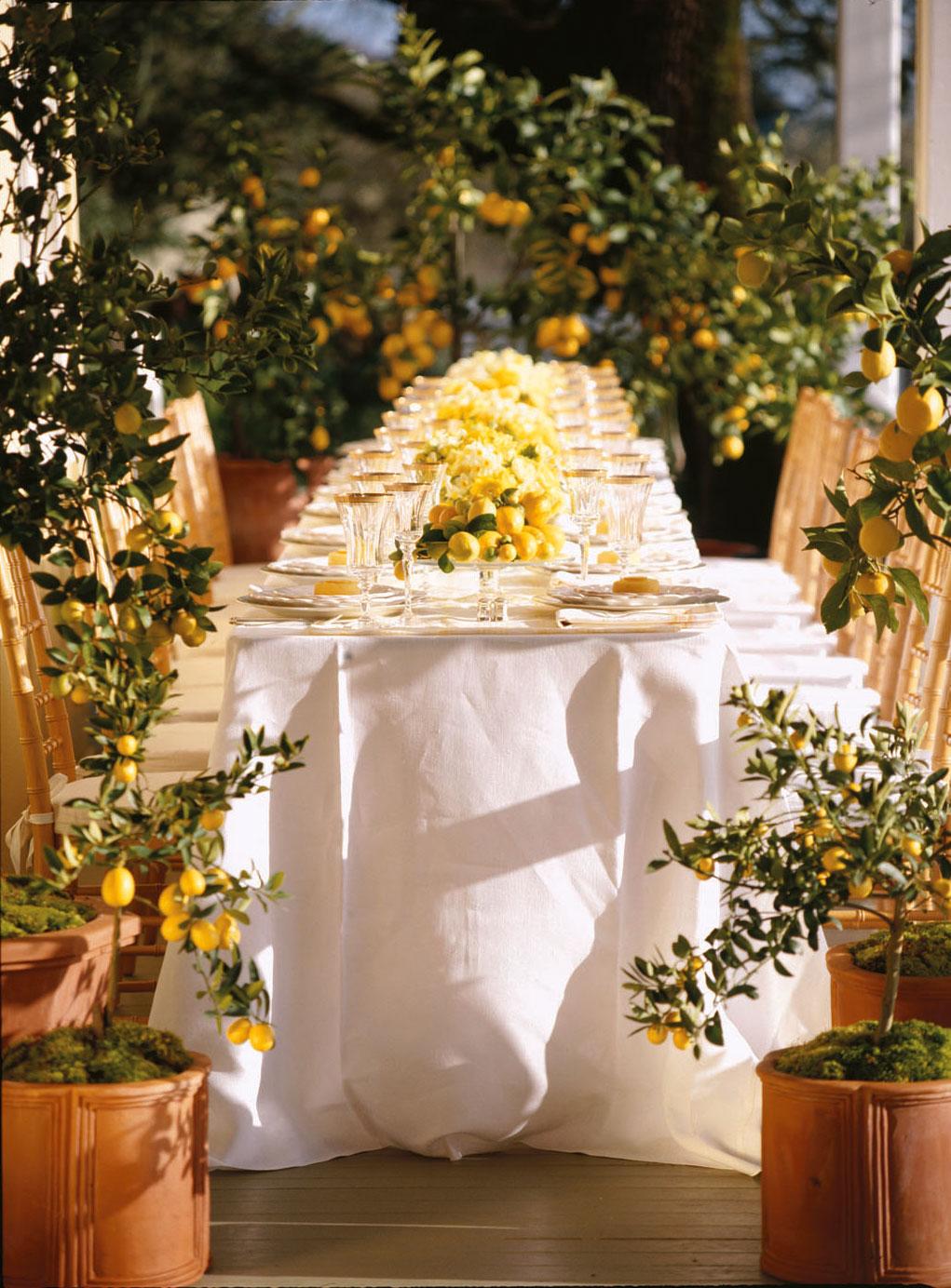 Lemon inspired wedding reception meg smith citrus