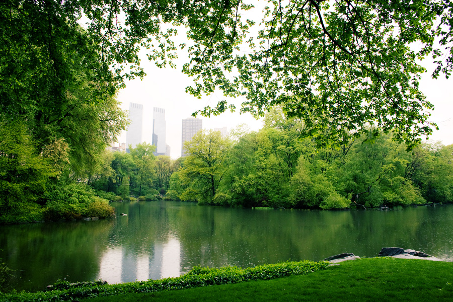 Central Park Inspiraton newyork7