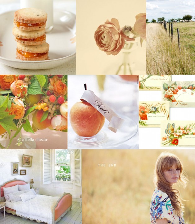 Peach Inspiration Board