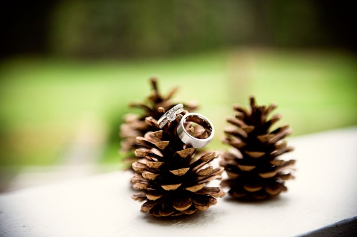 Rings on Pinecones