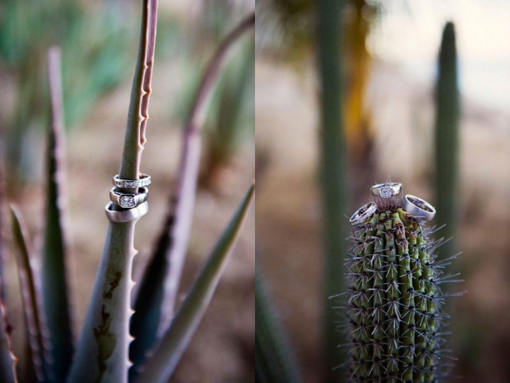 Rings on Cactus