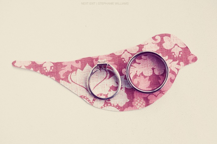 Rings on Bird