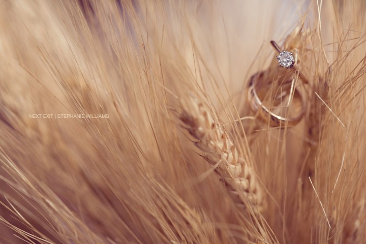 Rings on Wheat