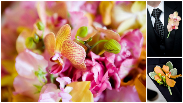 Orange and fushia orchids