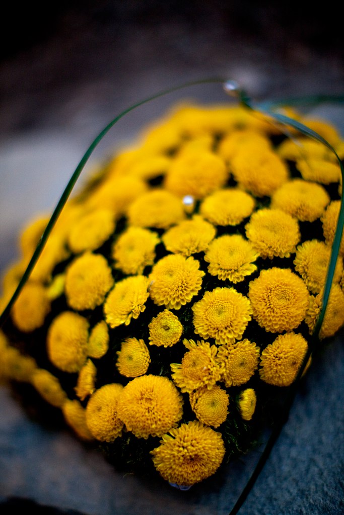 Yellow Flowered Ring Bearer's Pillow, Templeton California, Shanni Weilert IMG_4089