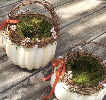 Baskets made out of pumpkin il-430x028