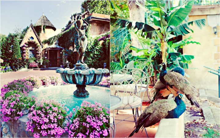 wedding venue with peacocks, La Caille wedding venue, Salt Lake City Utah wedding, Kayleen T photography, ruby red slippers Kayleen T wedding-2