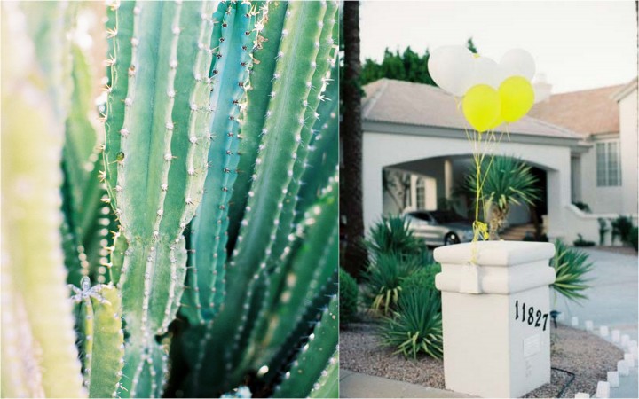 Leo Patrone - Inspired By This-5