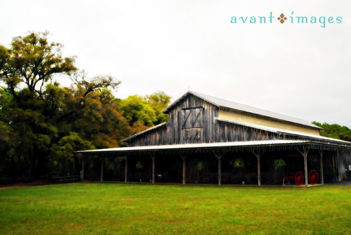 Project_20090330_0001