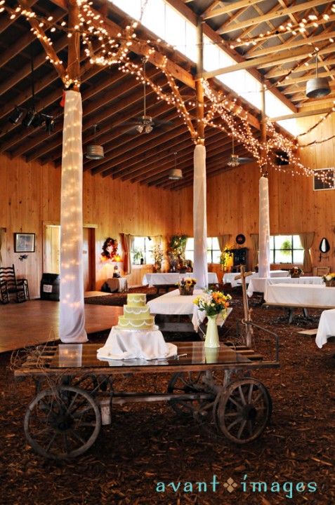 Project_20090330_0014