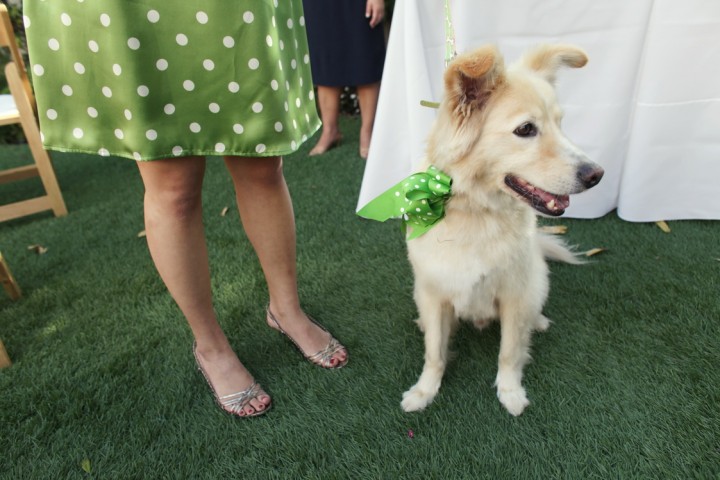 Green polkadot bridesmaids dresses, Verandas Manhattan Beach, California, Verandas Beach House, Sandra Pan photography, polka dot wedding inspiration