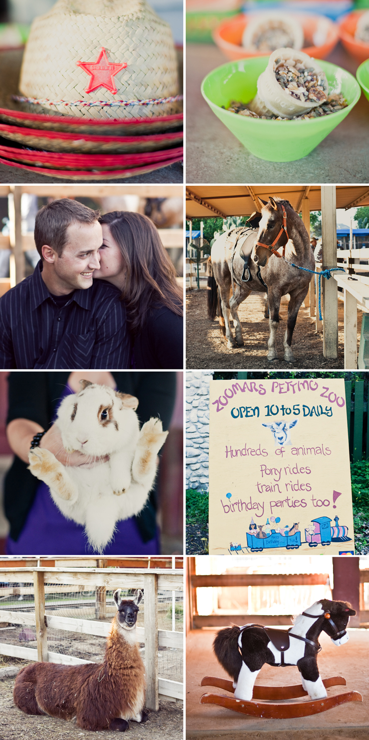 Petting Zoo Engagement shoot