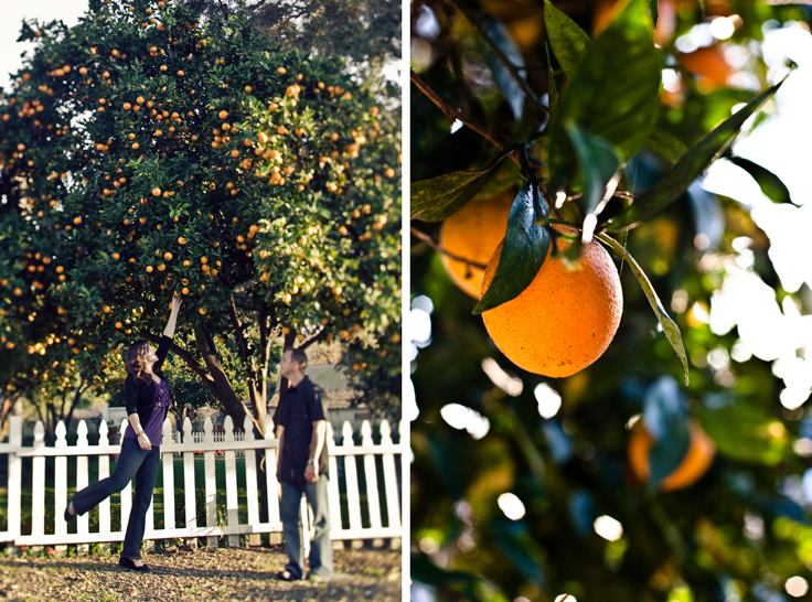 Orange Engagement Shoot