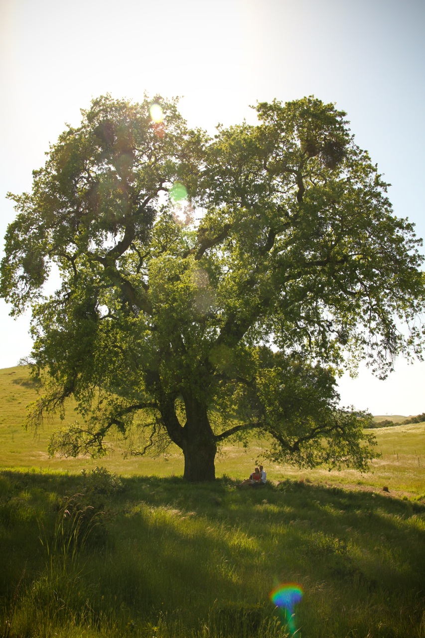 casey Mackenzie photography, country engagement shoot