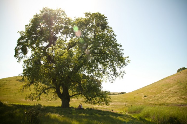 casey Mackenzie photography, country engagement shoot