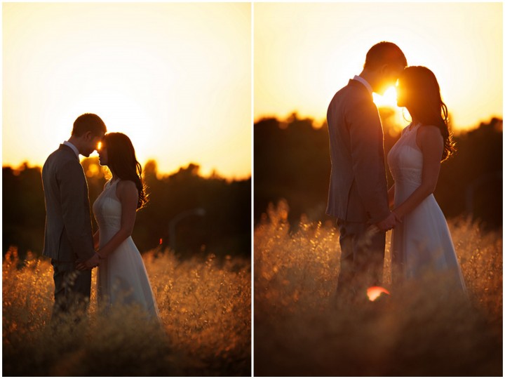 day after wedding shoot in a wheat field