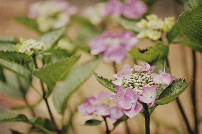 rustic backyard rehearsal dinner, rustic rehearsal dinner decor, outdoor rehearsal dinner inspiration, wildflower inspiration