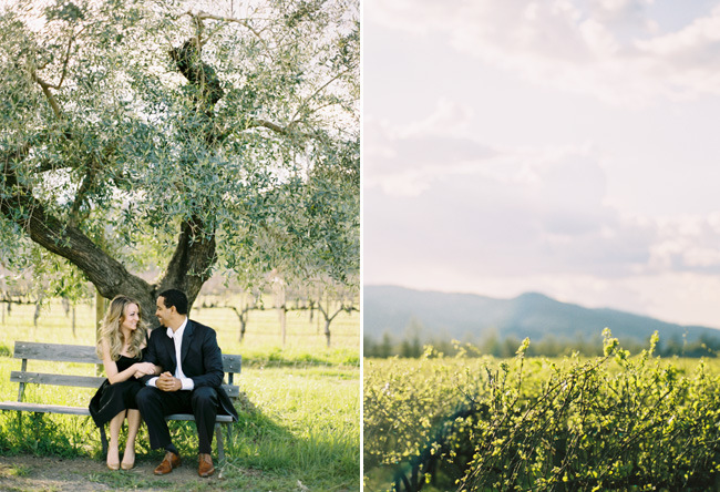 Napa Valley Engagement Photos, Lane Dittoe Photography, Classic Engagement Picture Inspiration, Vineyard Engagment photo inspiration