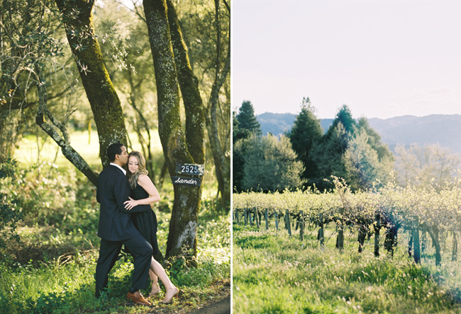 Napa Valley Engagement Photos, Lane Dittoe Photography, Classic Engagement Picture Inspiration, Vineyard Engagment photo inspiration