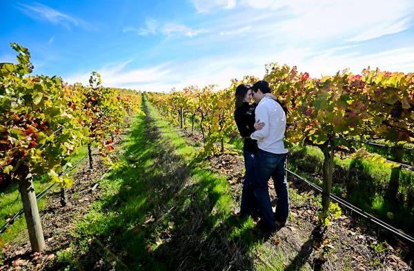 san francisco bay area wedding, napa valley wedding, vineyard inspired engagement shoot,