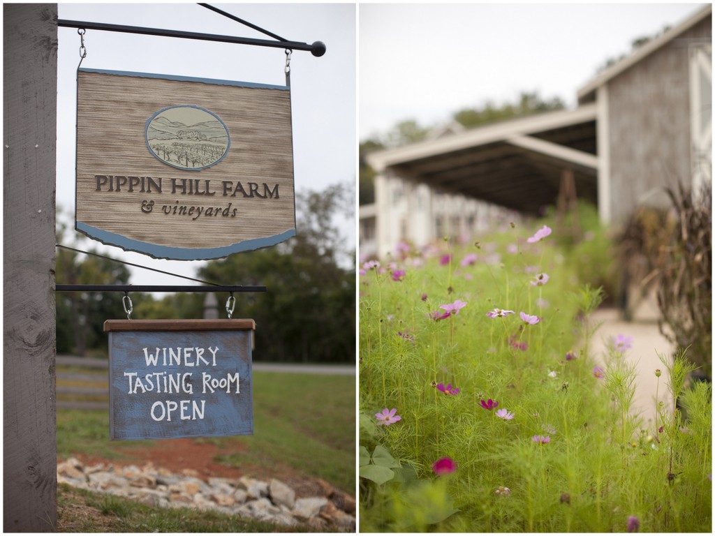 Elopement inspiration, vineyard wedding inspiration, wedding elopement, Virginia Wedding