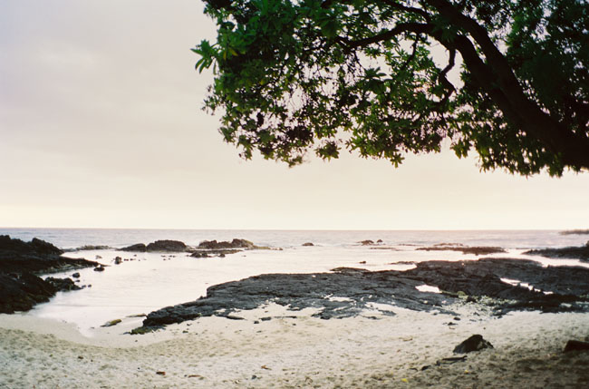 Rehearsal dinner inspiration, hawaiian rehearsal dinner, hawaiian wedding inspiration,