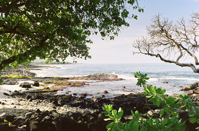 Rehearsal dinner inspiration, hawaiian rehearsal dinner, hawaiian wedding inspiration,