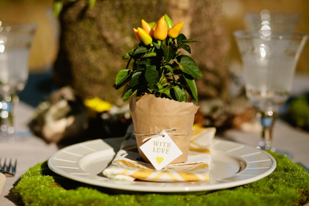 Daisy inspired shoot, yellow wedding inspiration, green wedding inspiration, New Zealand wedding vendors, outdoor wedding inspiration