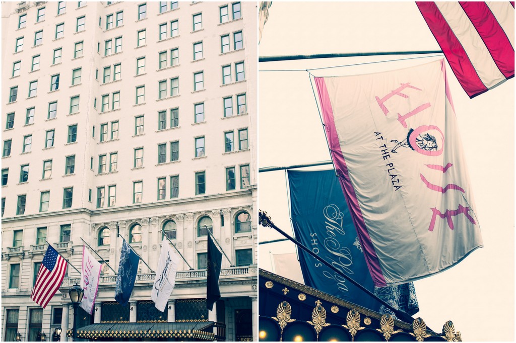 baby shoot, baby girl shoot, Eloise at the plaza, Plaza themed shoot