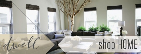 IBT shop home