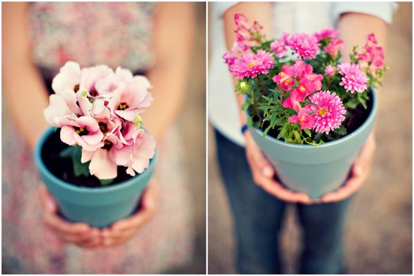 Wedding PR, Wedding Public Relations, WEdding Marketing Expert, plant engagement session, outdoor engagement session, field engagement session, Melissa Munding, sunshine