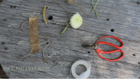 How to Make a Boutonniere