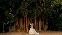 Ivy Robinson Vietnamese Wedding