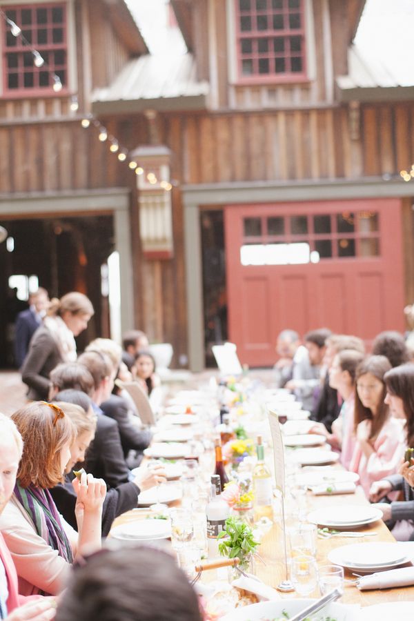 Mendocino reception