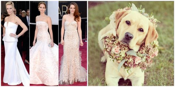 Oscars fashion, wedding dog fashion