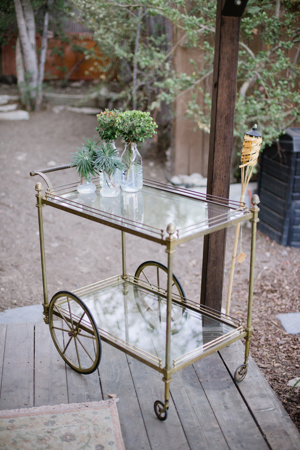 Backyard sustainable dinner party, greenery, bar cart __Brandi_Welles_Photographer_20121030huntandgather00017PRINT_low