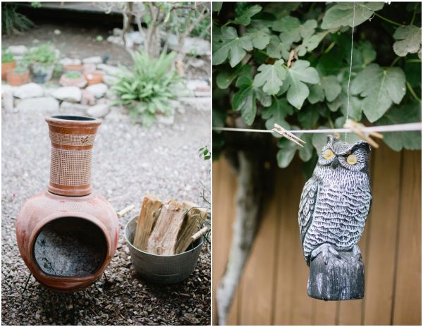 Backyard sustainable dinner party HOME - Brandi Welles Dinner party-002