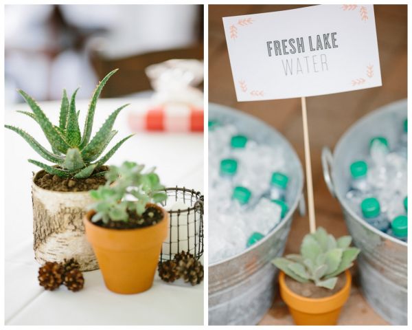 couples camping shower, succulents, birch vases, drink station