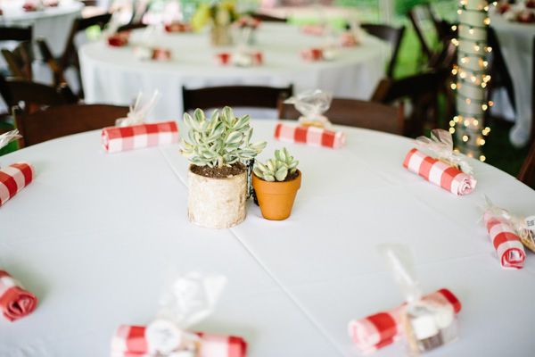 couples camping shower, table setting, birch vase, succulents, plaid napkins