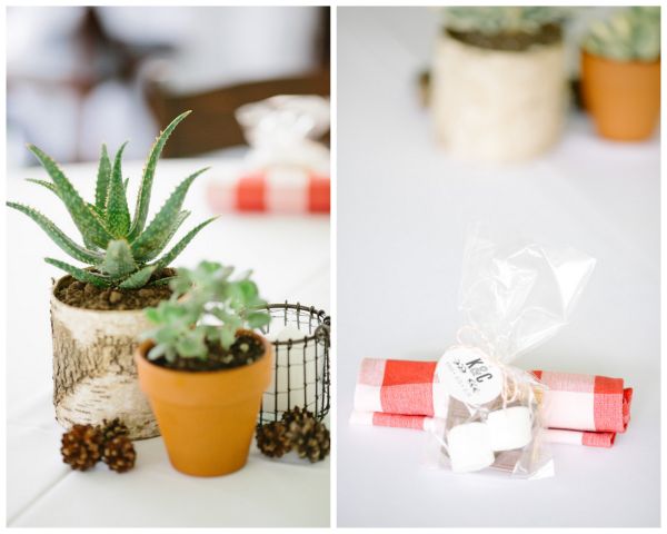 couples camping shower, plaid napkins, smore favors, succulents, birch vases