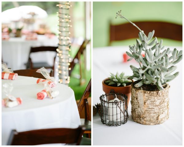 couples camping shower, plaid napkins, table plants, suculents