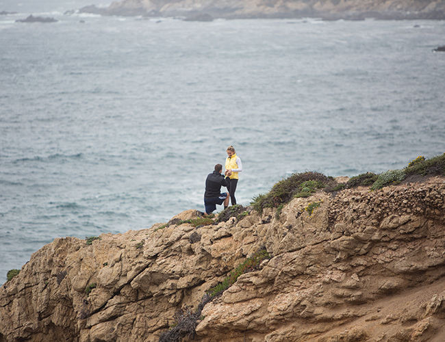 Big Sur Proposal