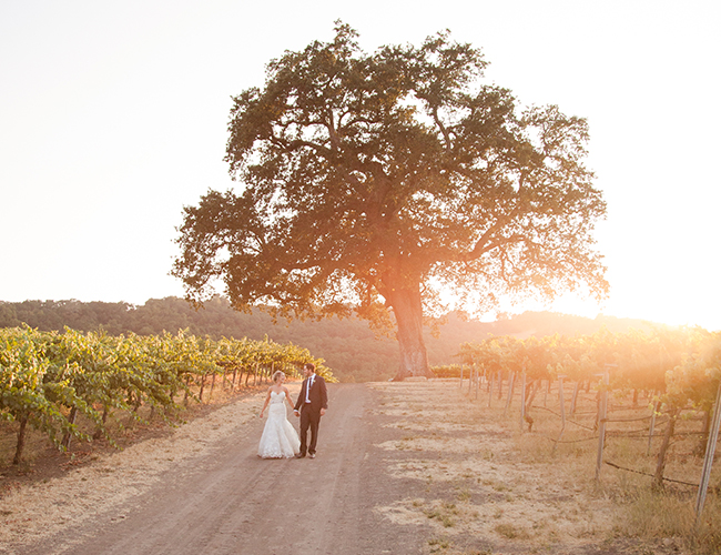 Hammersky Vineyards - Wedding Blog