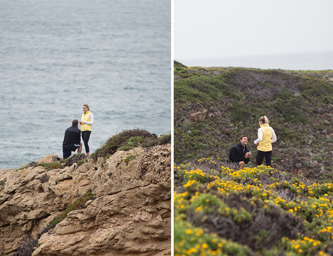 Big Sur Proposal